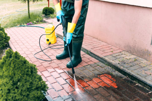 Best Roof Cleaning and Mildew Removal in Columbus, GA
